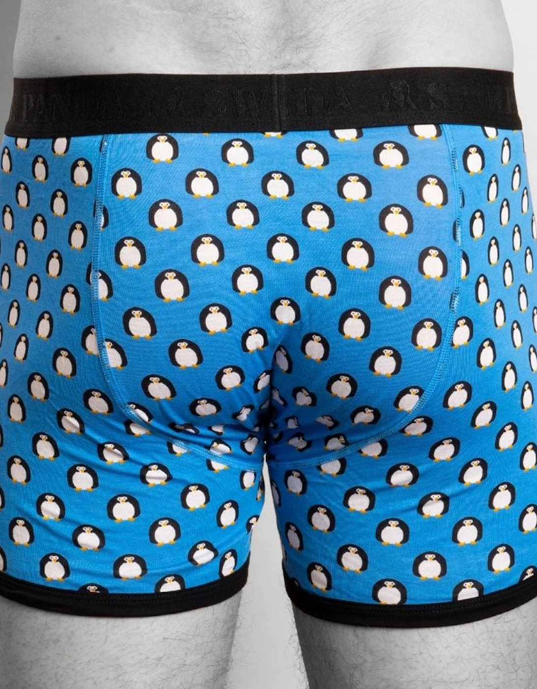 Penguins Bamboo Boxer Brief, Blue/black