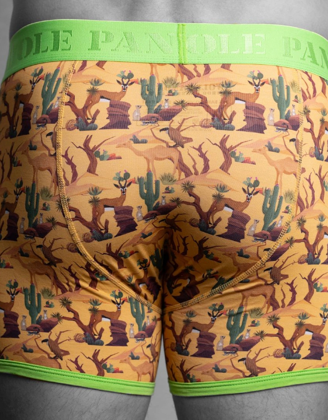 Savannah Bamboo Boxer Brief, Yellow