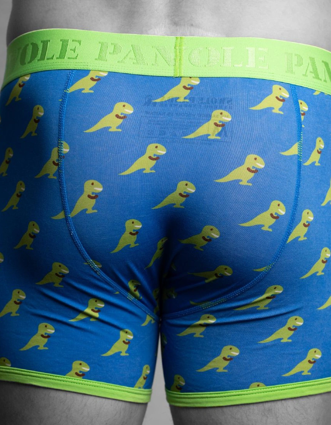 T-Rex Bamboo Boxer Brief in Blue/green