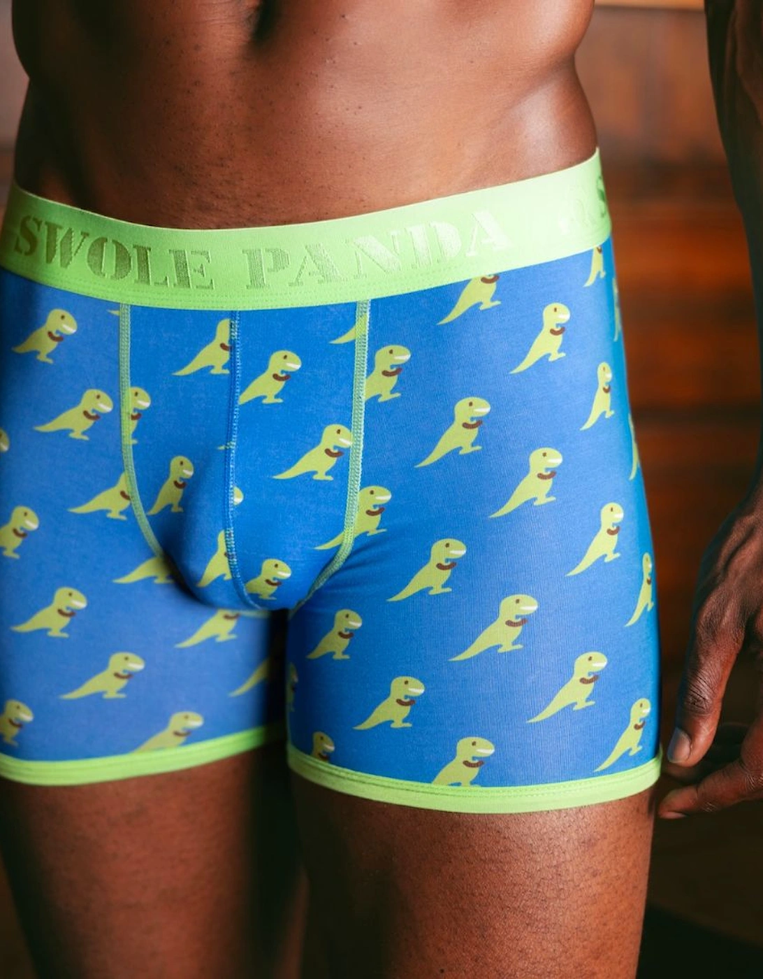 T-Rex Bamboo Boxer Brief in Blue/green