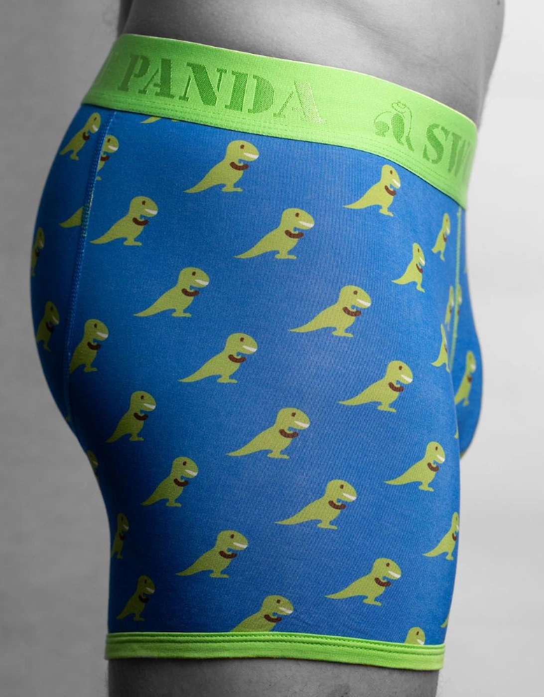 T-Rex Bamboo Boxer Brief in Blue/green
