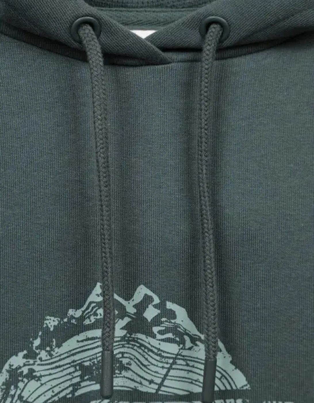 Womens/Ladies Mountain Ring Regular Hoodie