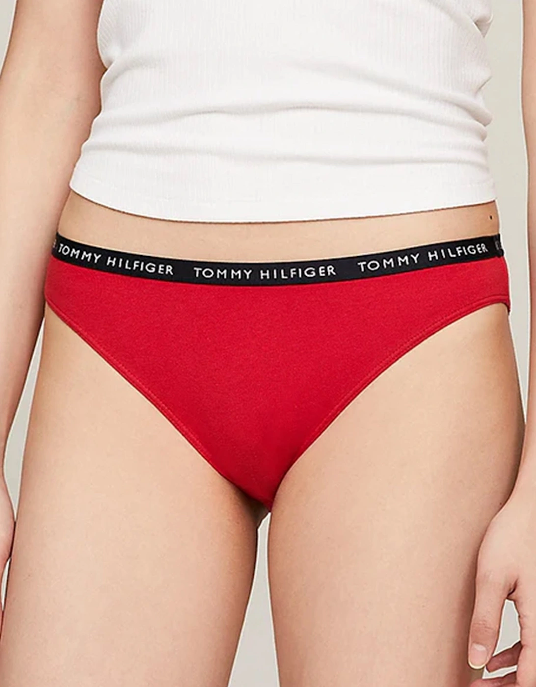 BIKINI 3 Pack Womens Briefs Desert Sky/White/Primary Red