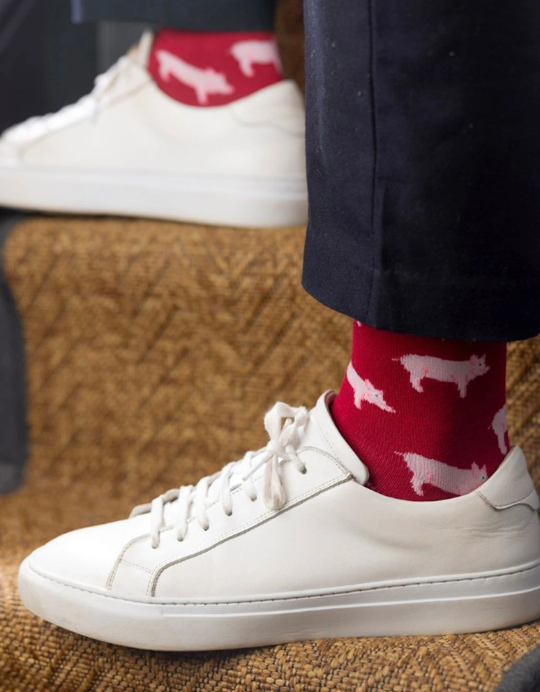 Pigs Bamboo Socks, Red