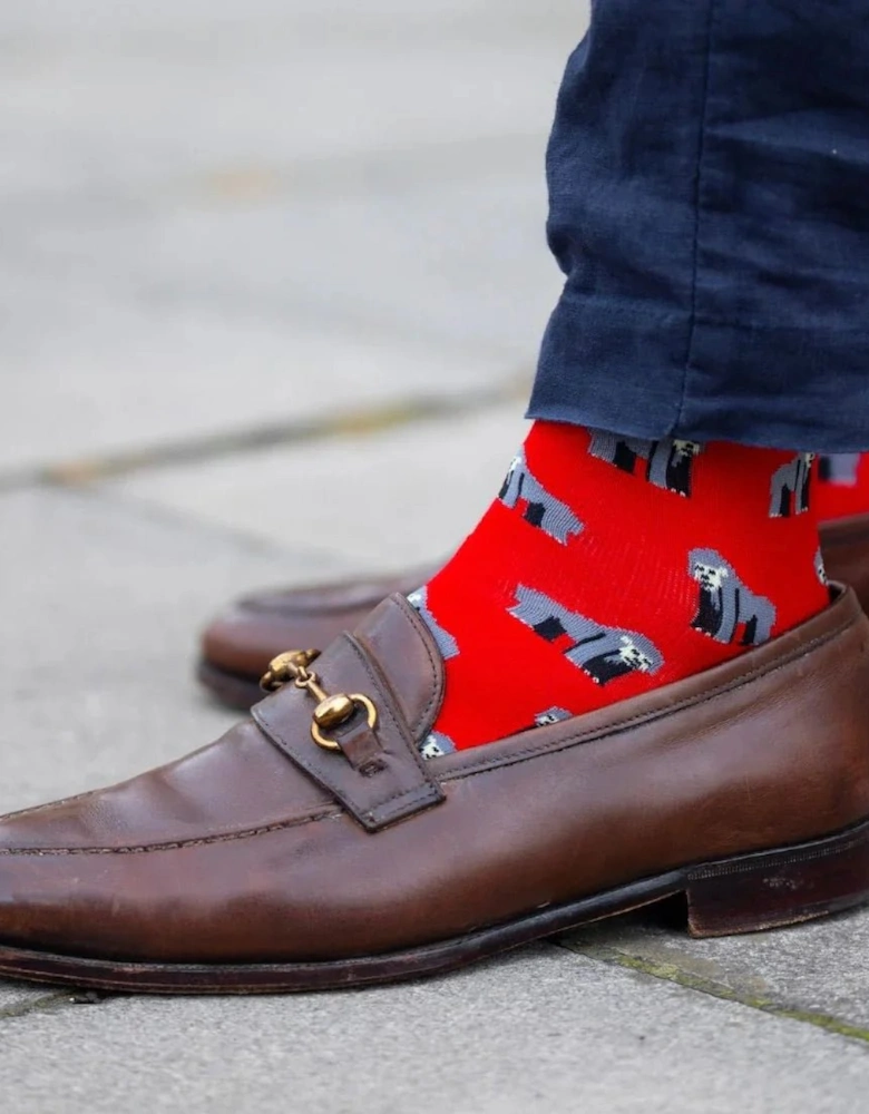 4-Pack Zoo Animals Bamboo Socks Gift Box, Red/Green/Blue/Navy