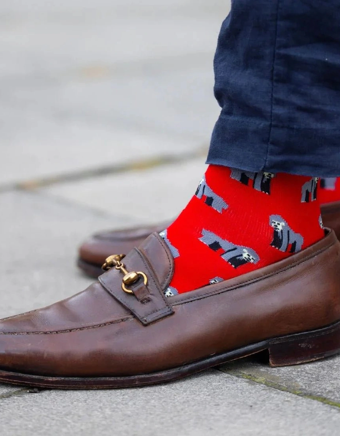 4-Pack Zoo Animals Bamboo Socks Gift Box, Red/Green/Blue/Navy