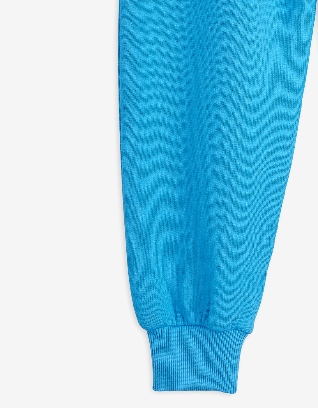 Kids Embroidered Dog Joggers in Blue