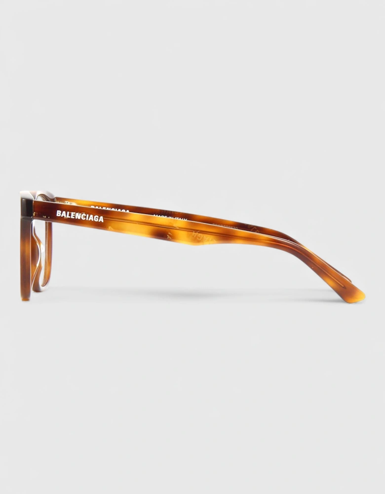 Everyday Eyeglass Frames Black Havana
