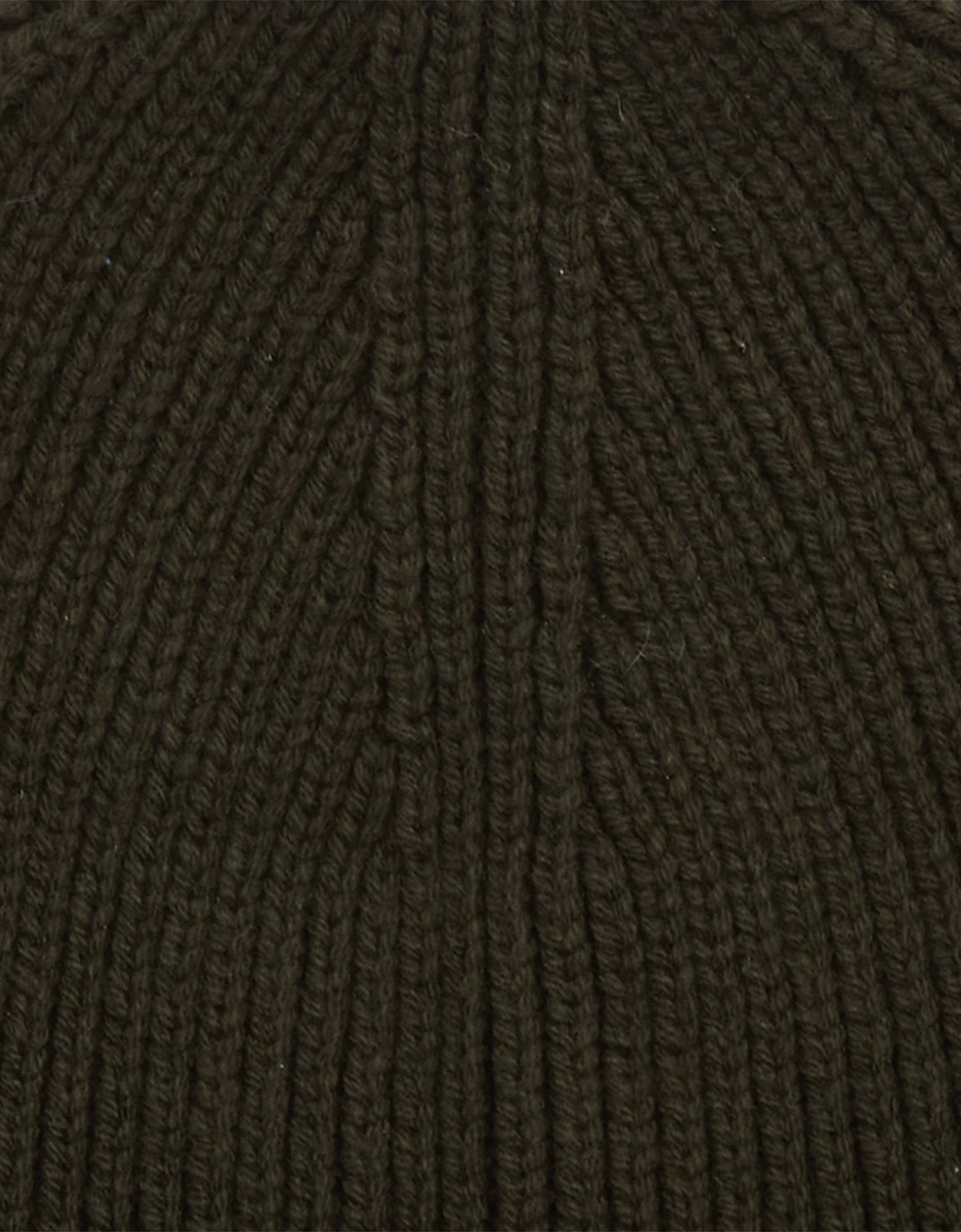 Flex Mens Beanie - Sage