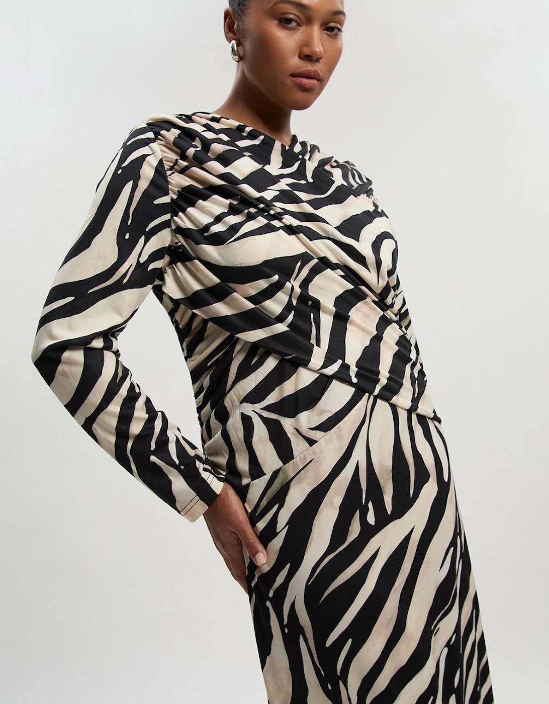 Plus Size Zebra Print Crepe Twist Detail Maxi Dress, 2 of 1