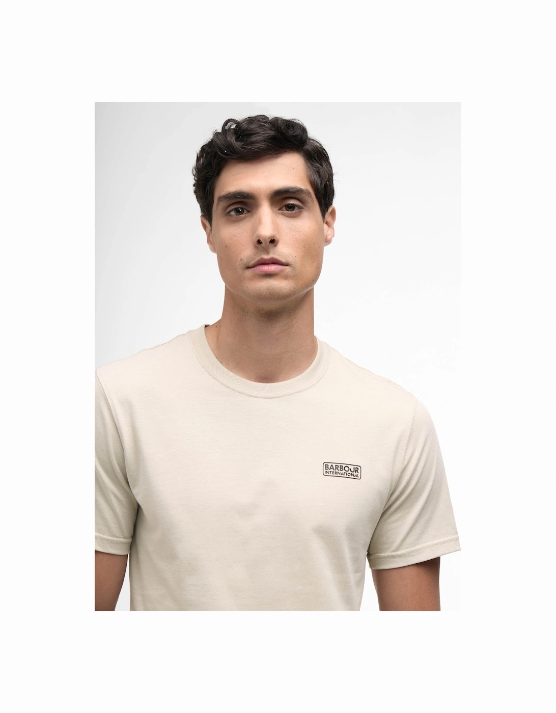 Small Logo Mens T-Shirt - Mist