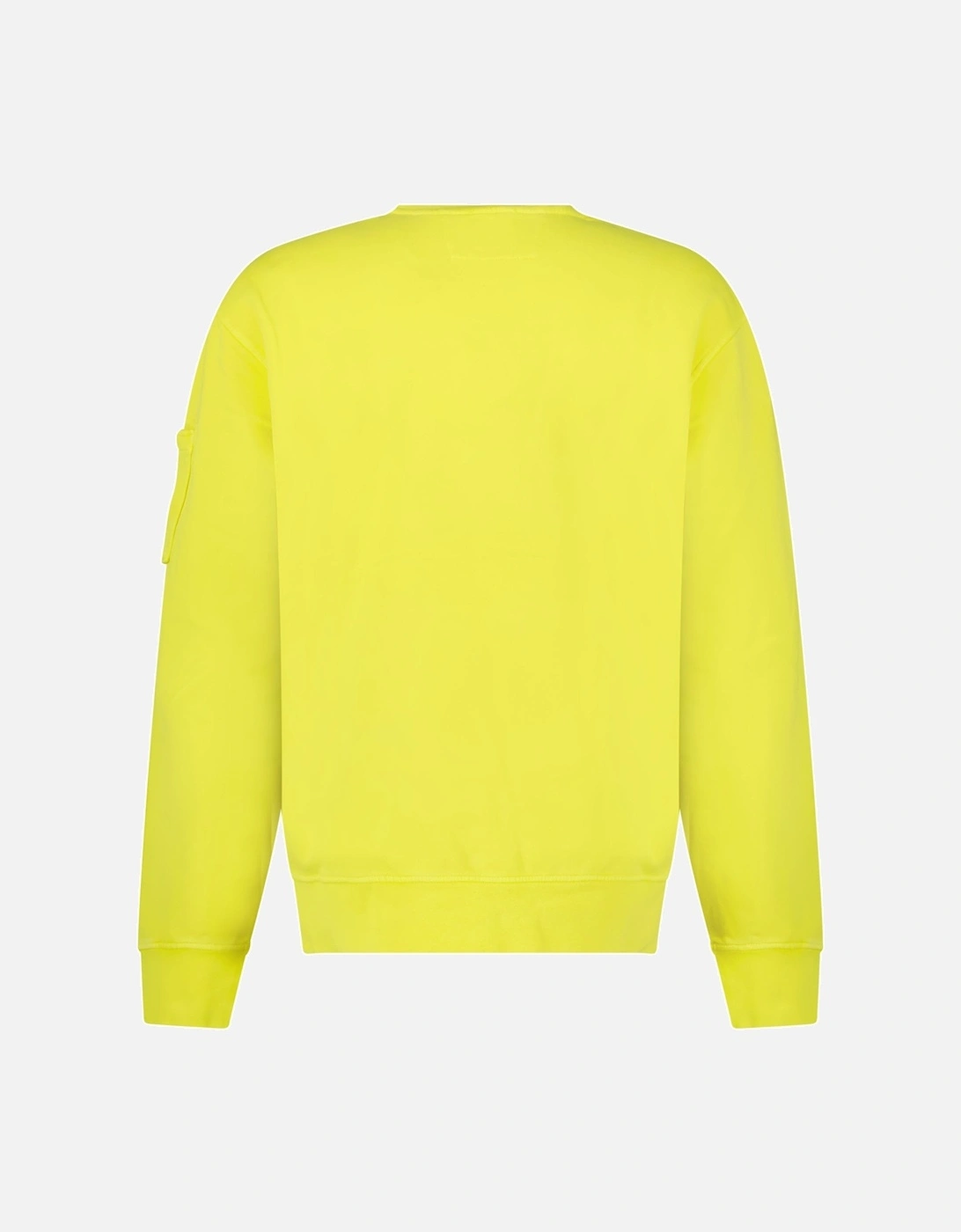 Brushed and Emerized Diagonal Fleece Crewneck Sweatshirt in Green Sheen