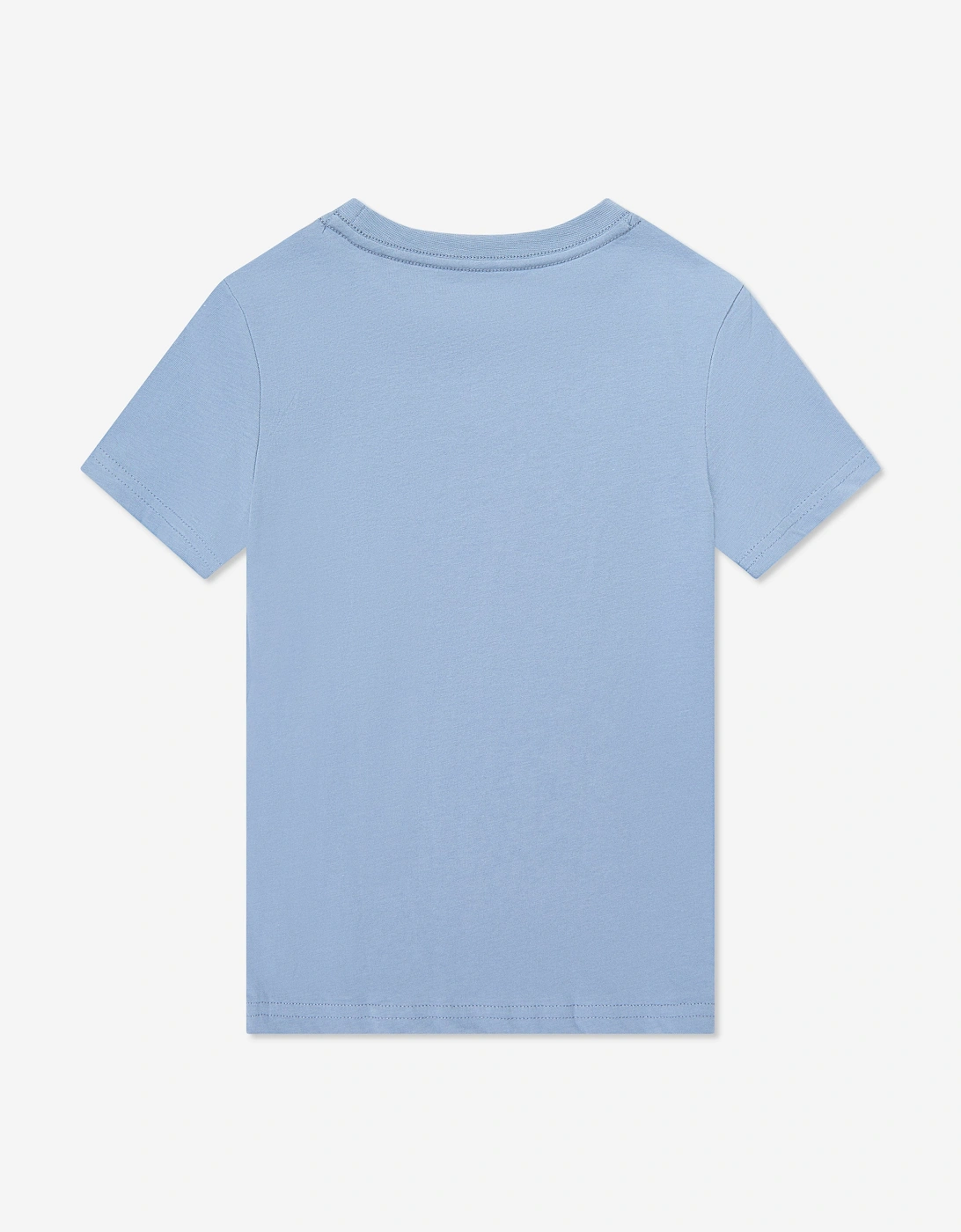 Boys 2 Pack T-Shirt Set in Blue
