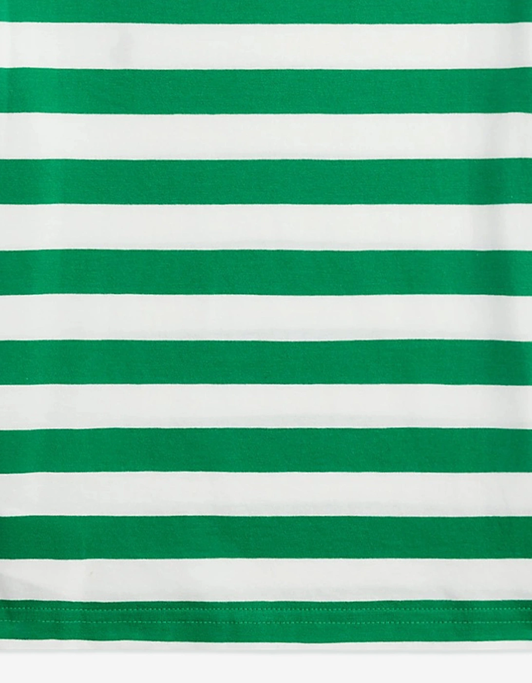 Boys Striped Logo T-Shirt in Green