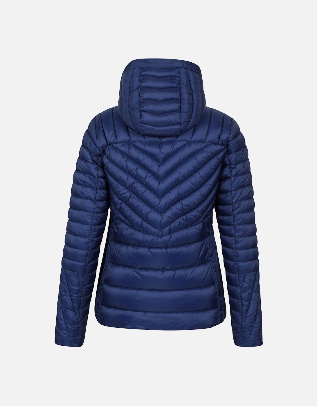 Womens/Ladies Sky Padded Jacket