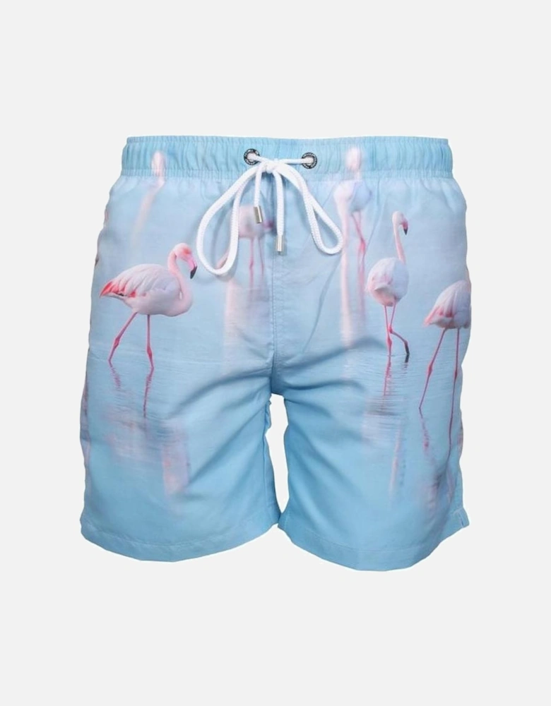Lauderdale Flamingoes Photographic Print Swim Shorts, Blue