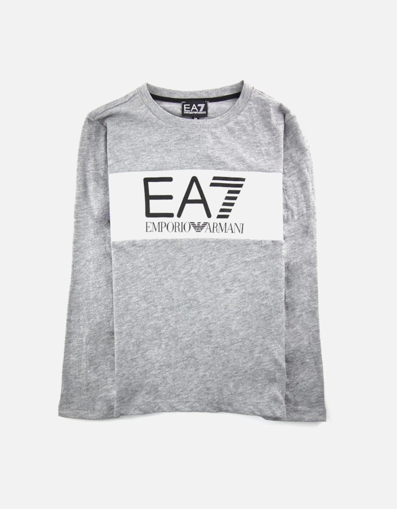 Junior Logo L/s T Shirt Grey
