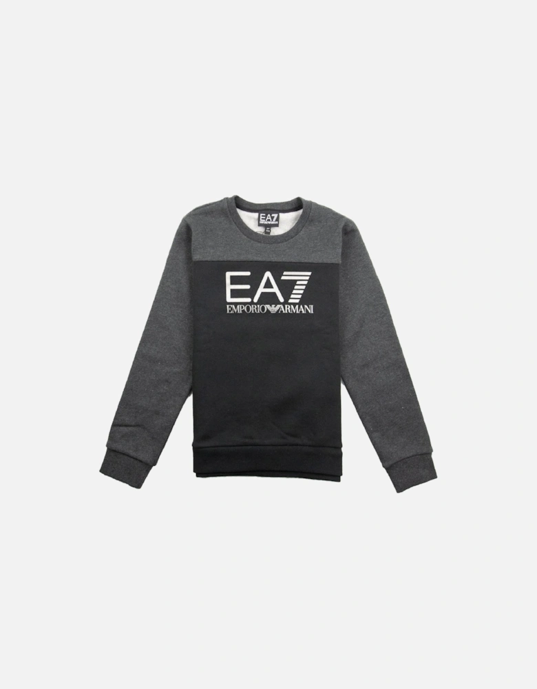 Junior Large Logo Sweatshirt Black/Grey