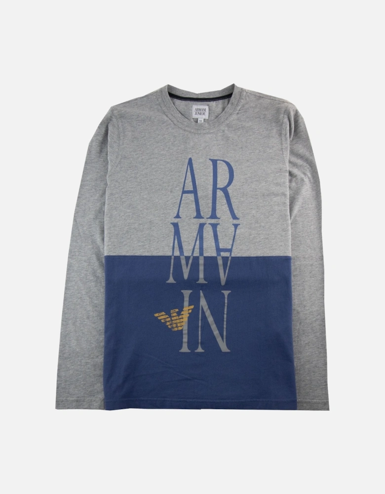 Junior Logo Print L/s T Shirt Grey/Blue