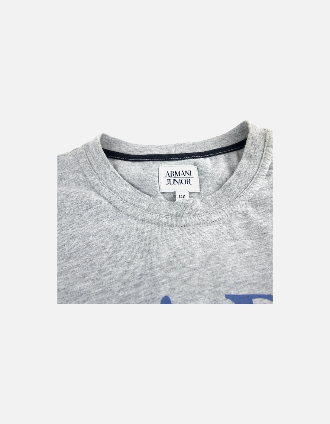 Junior Logo Print L/s T Shirt Grey/Blue