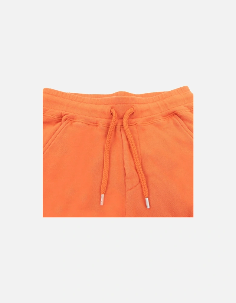 Undersixteen Grey Lens Logo Bermuda Shorts Harvest Pumpkin 439