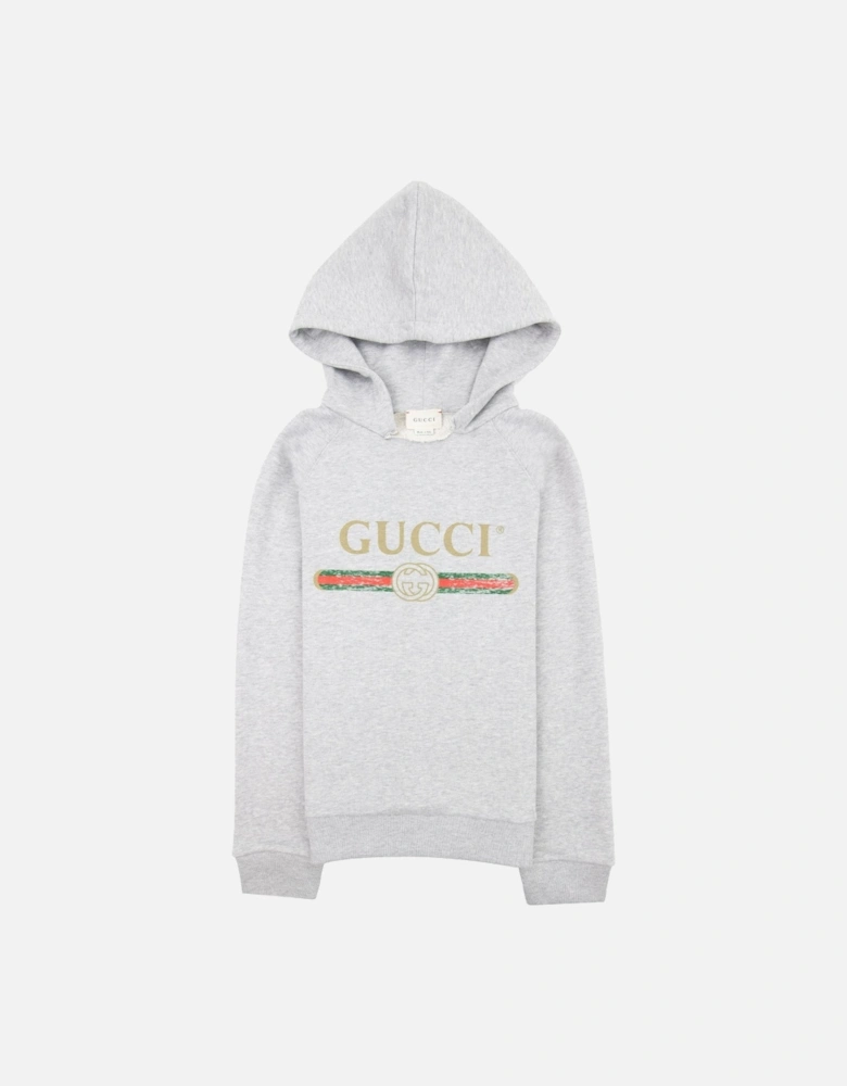 Junior Logo Print Hooded Sweatshirt Grey 1676