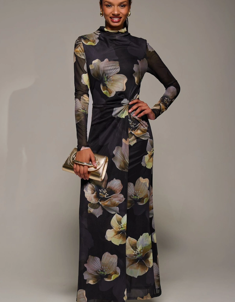 High Neck Long Sleeve Mesh Maxi Dress