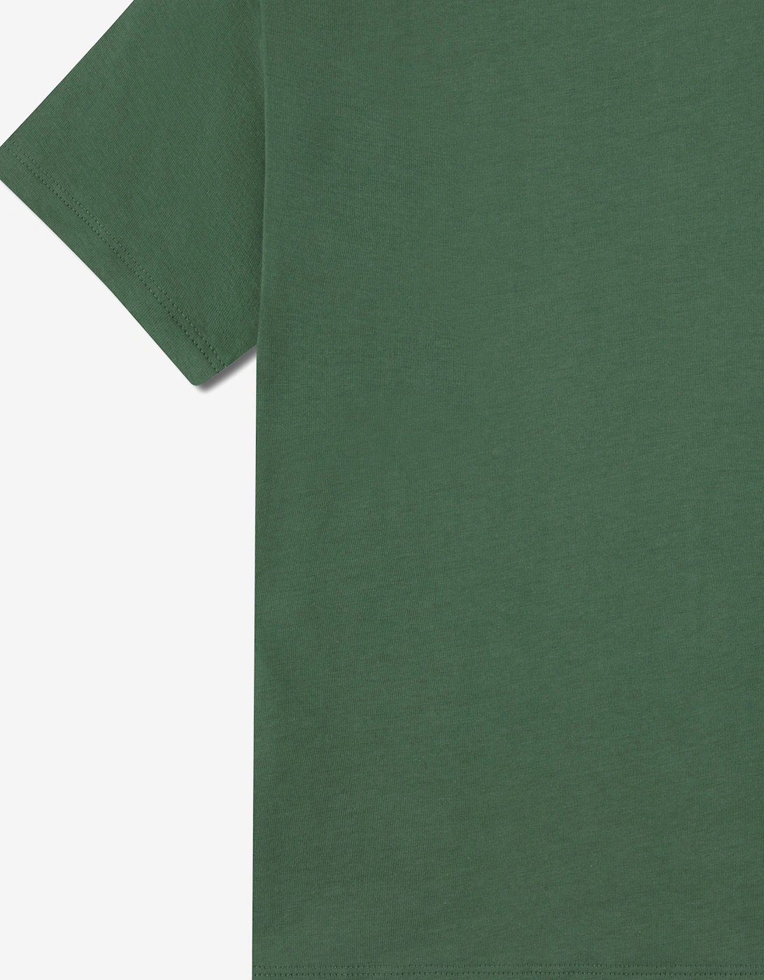 Boys Logo T-Shirt in Green