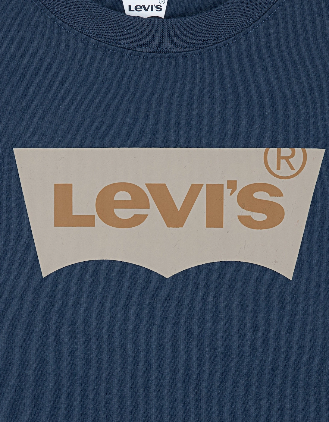 Boys Batwing T-Shirt in Navy