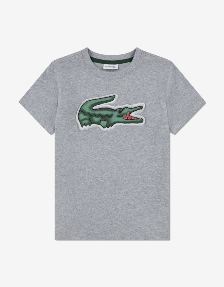 Boys Logo T-Shirt in Grey
