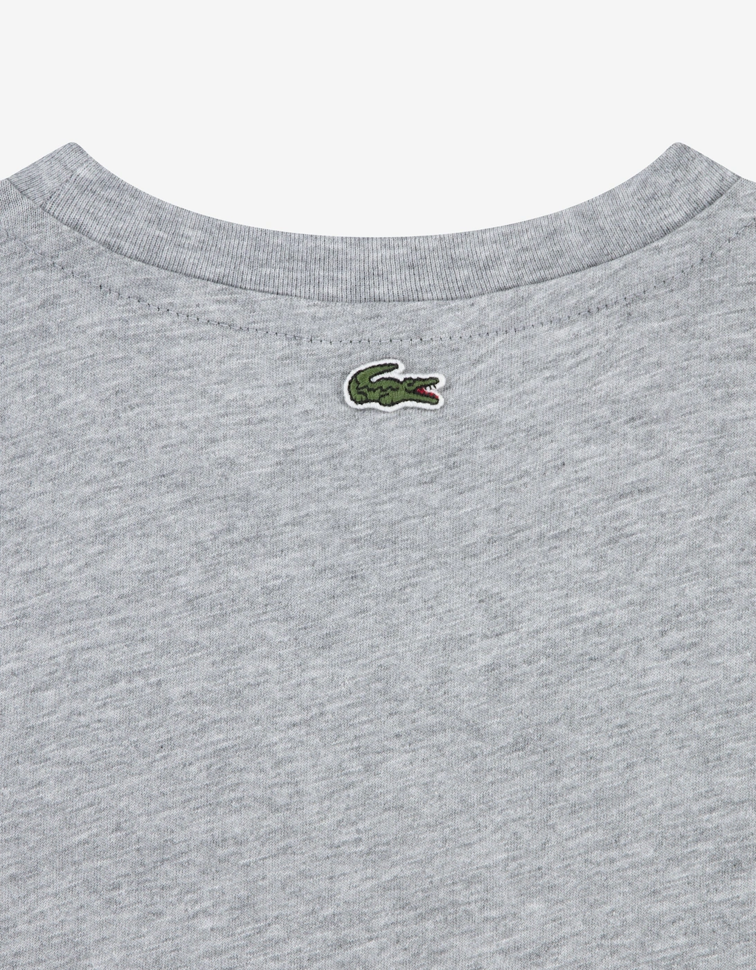 Boys Logo T-Shirt in Grey