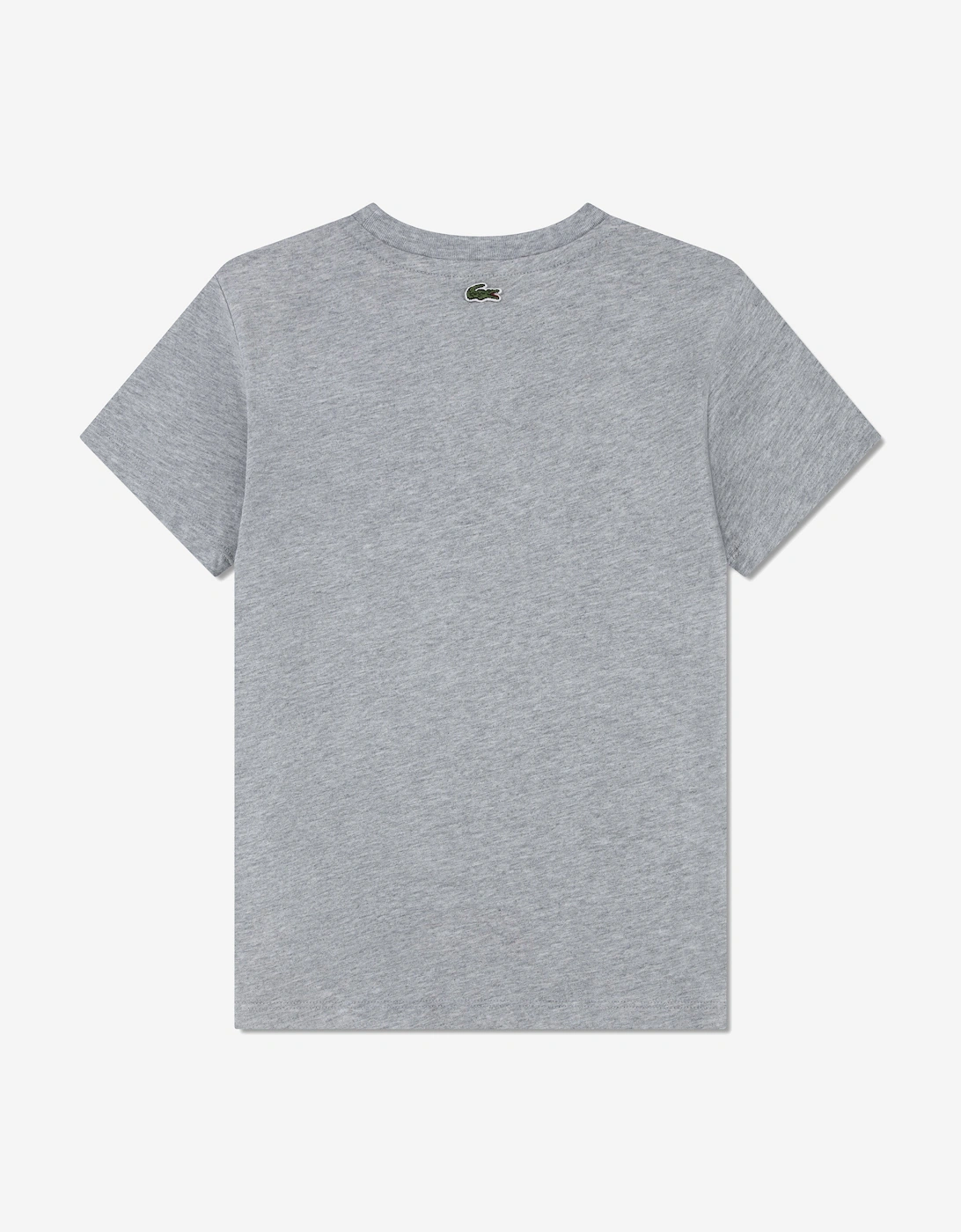 Boys Logo T-Shirt in Grey