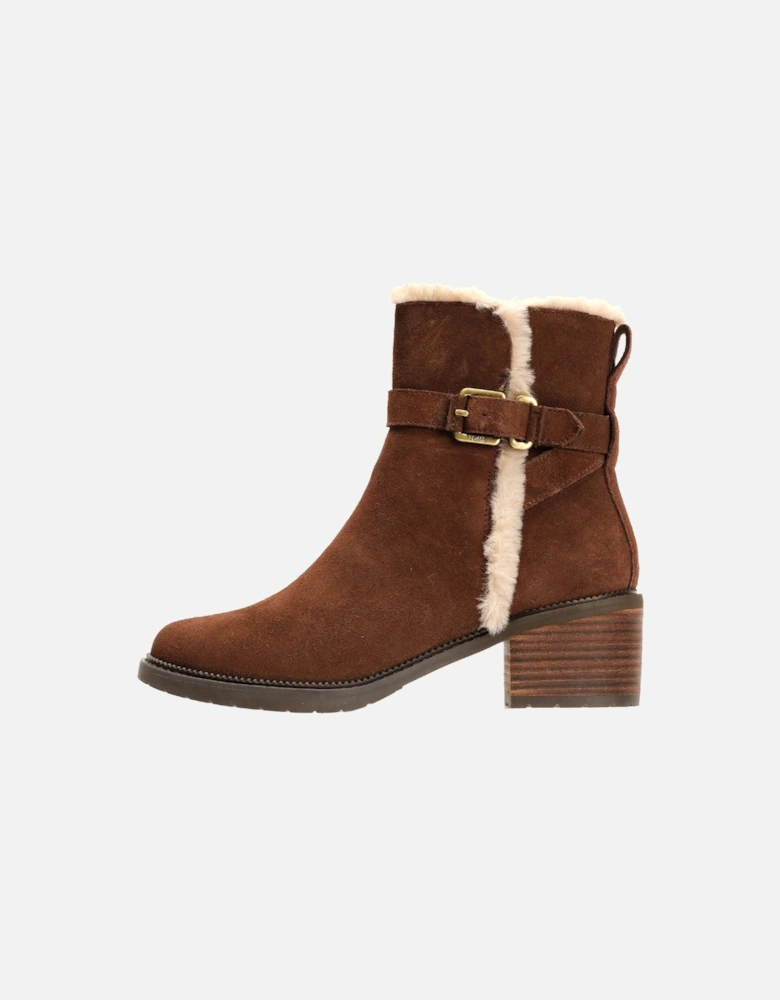 Hailey Buckle Suede Women's Dark Brown Boots