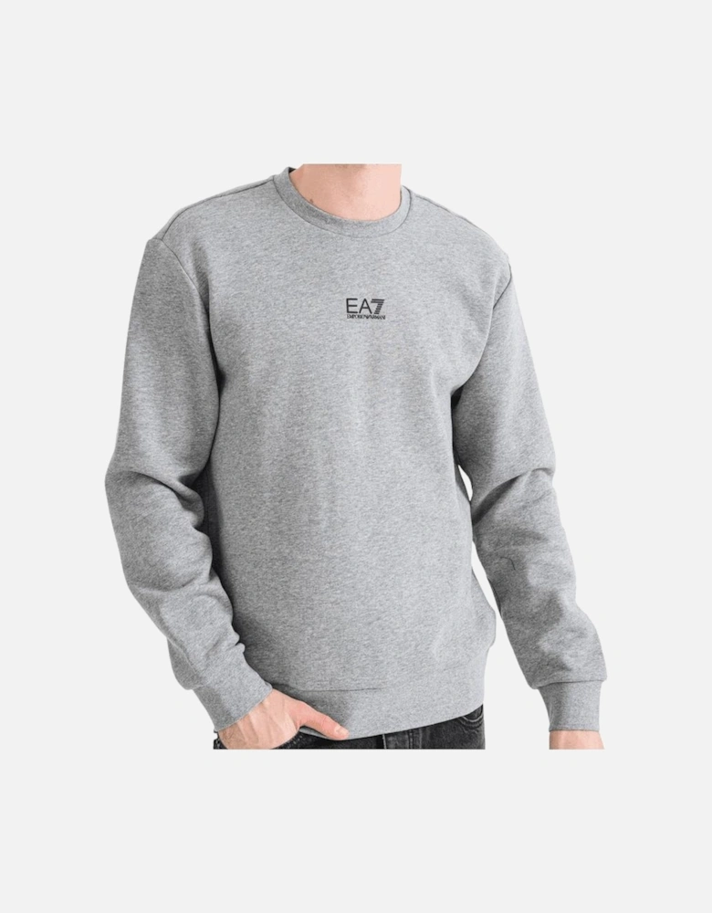 Core Logo Grey Sweatshirt