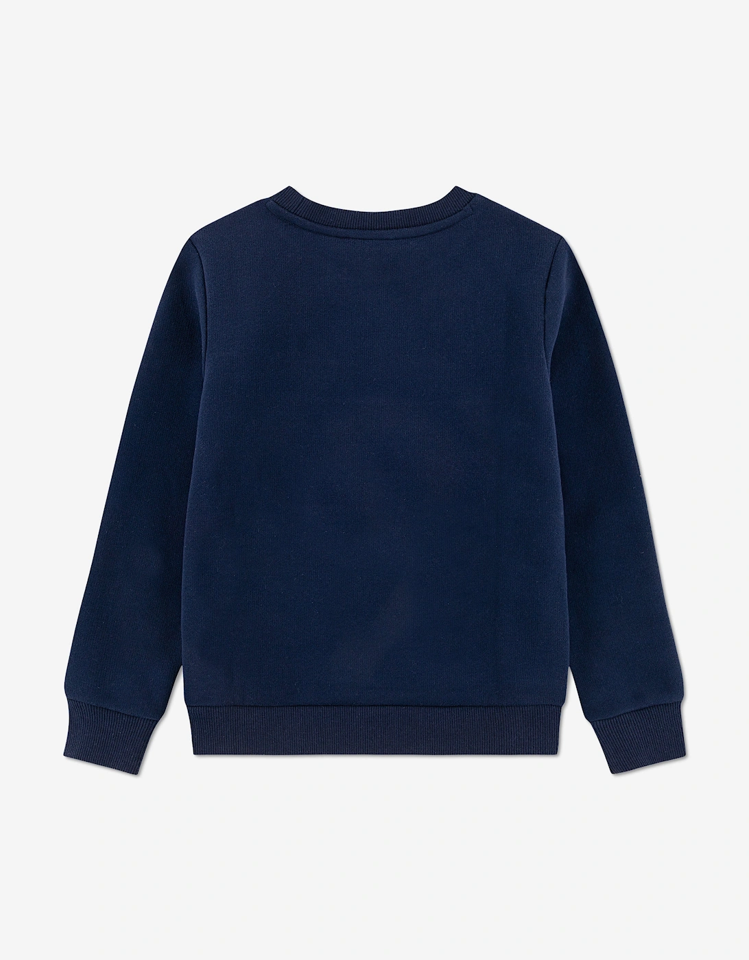 Boys Colourblock Sweatshirt in Navy