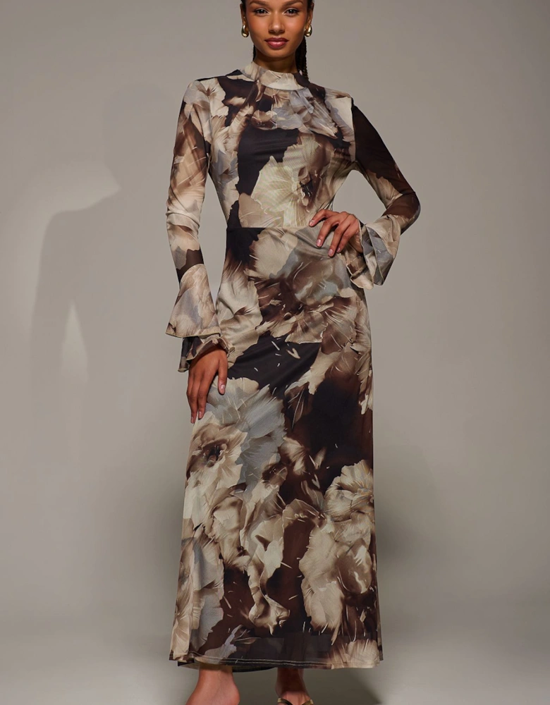 Ruffle Long Sleeve Mesh Maxi Dress