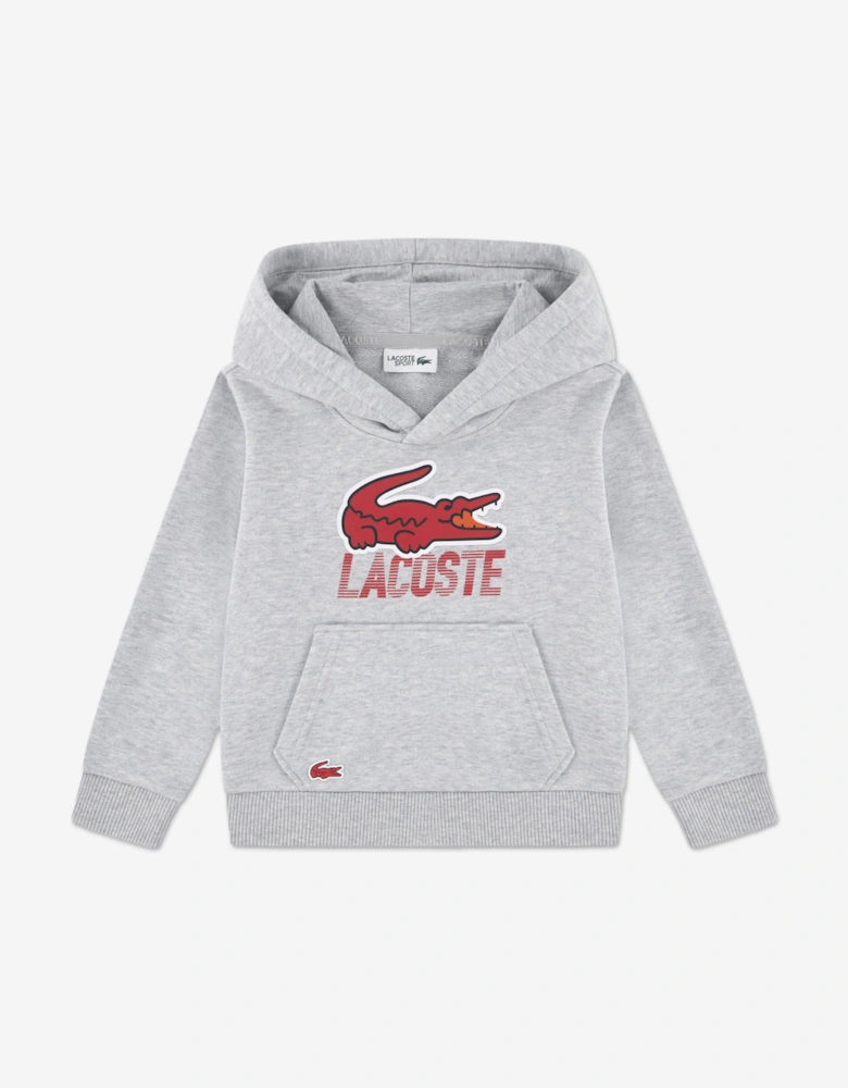 Boys Logo Tracksuit in Grey