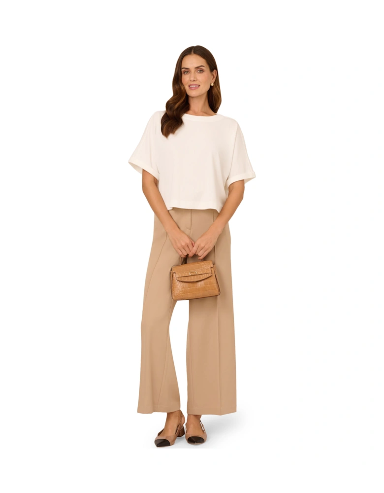 Crew Neck Short Sleeve Dolman Boxy Rib Knit Crop Top