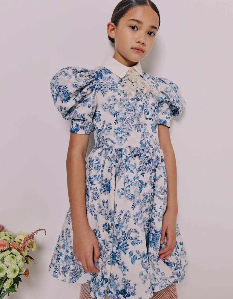 Girls Carousel Dress in Blue