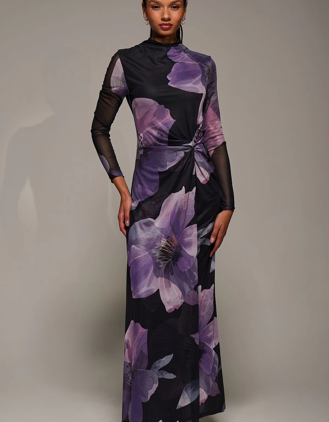 High Neck Long Sleeve Mesh Maxi Dress, 2 of 1