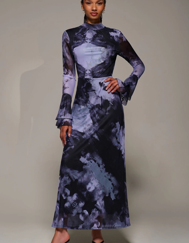 Ruffle Long Sleeve Mesh Maxi Dress