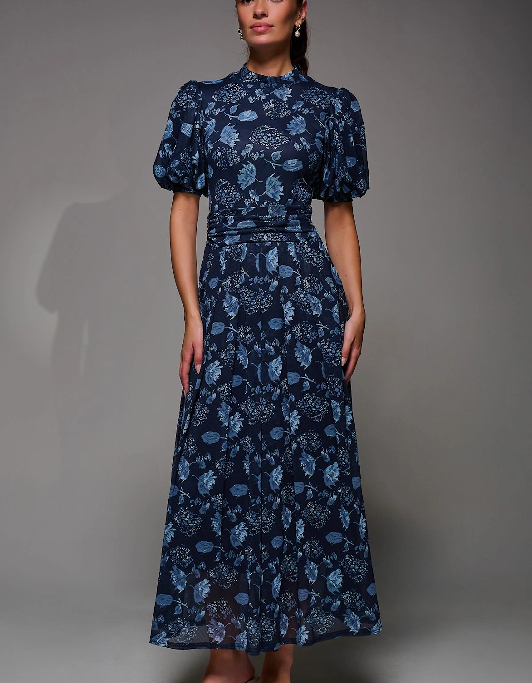 Puffy Sleeve Printed Mesh Maxi Dress, 2 of 1