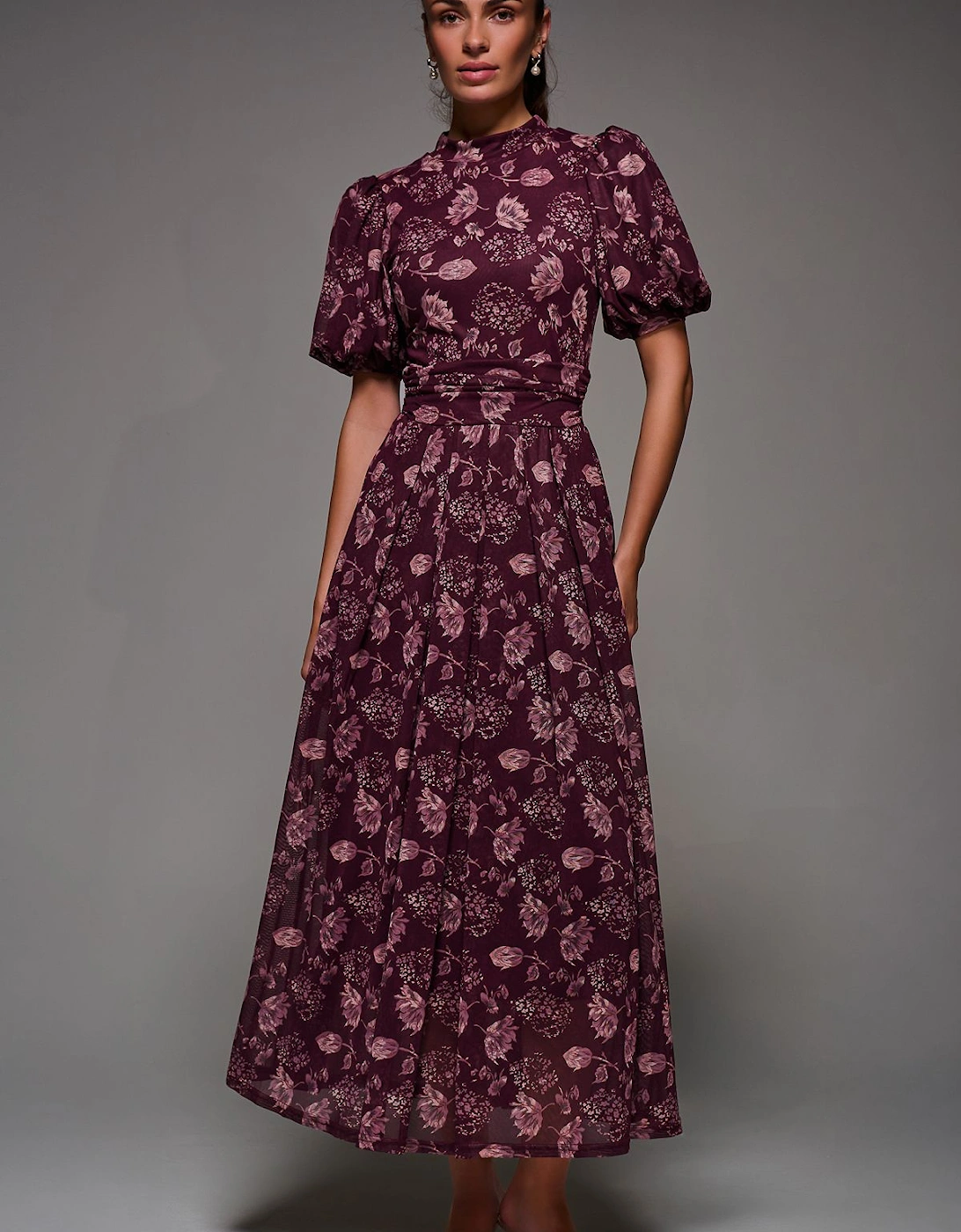 Puffy Sleeve Printed Mesh Maxi Dress, 2 of 1