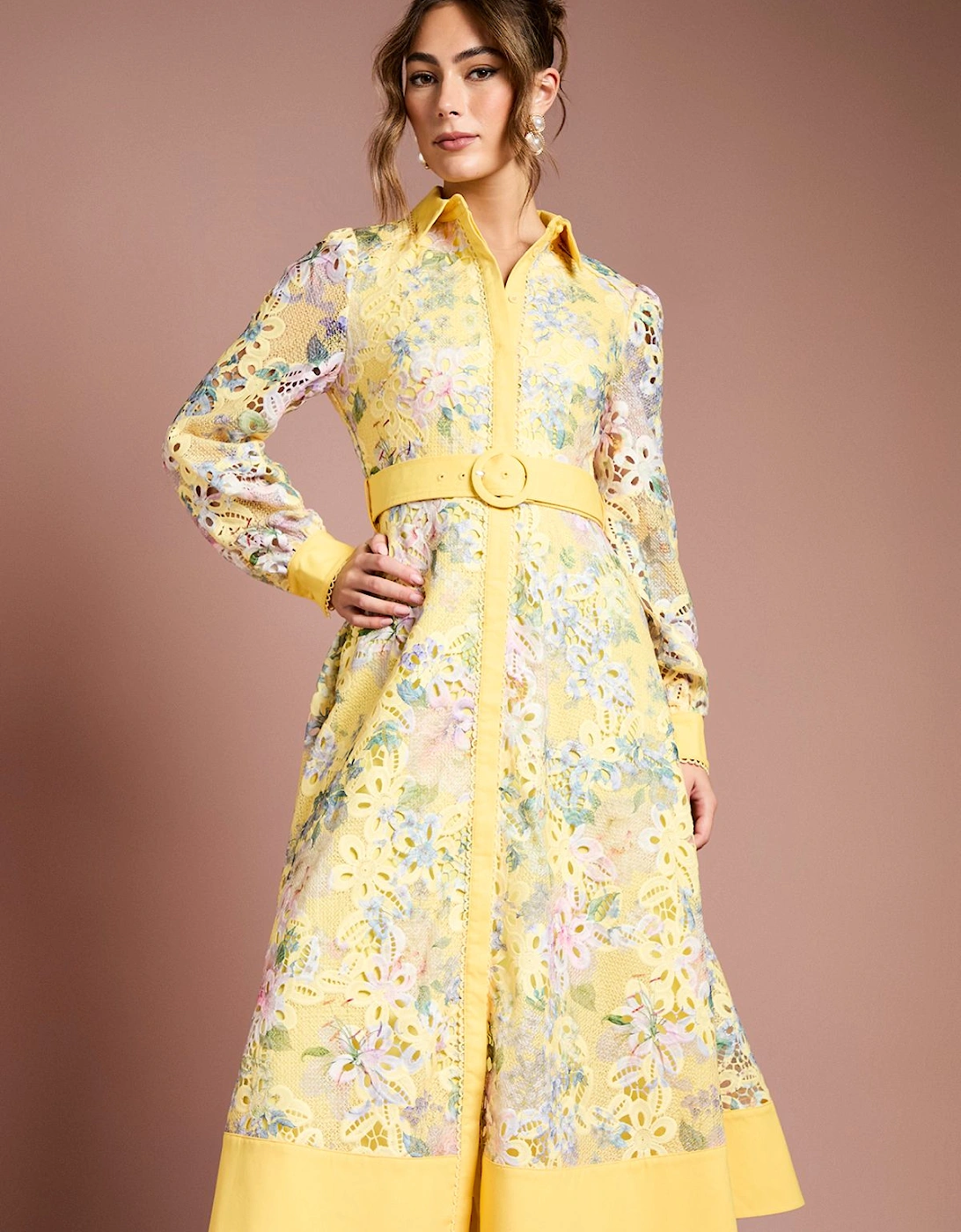 Cutwork Lace Printed Shirt Dress, 2 of 1