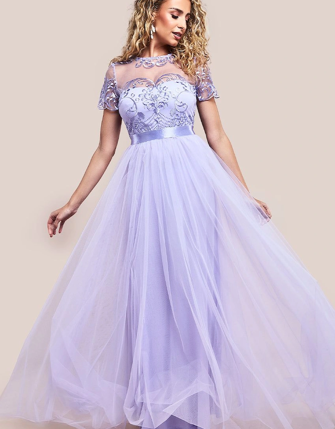 Embroidered Mesh Maxi Dress, 2 of 1