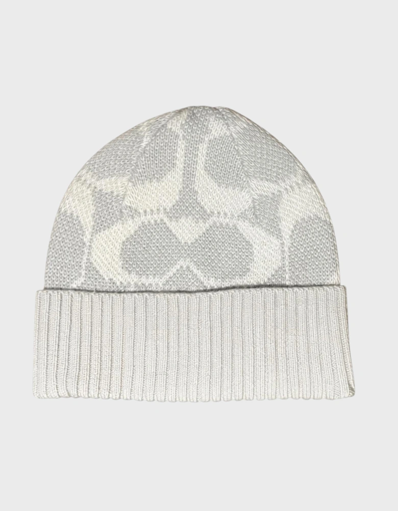 Jumbo Signature Beanie Chalk Grey