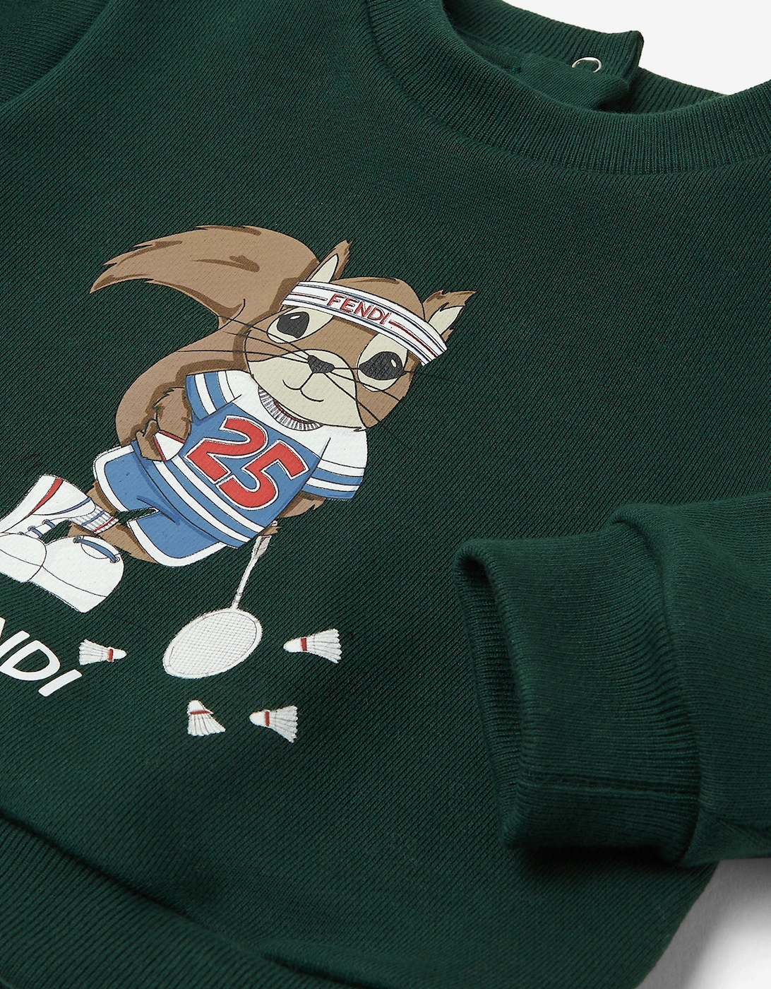 Baby Boys Squirrel Sweatshirt in Green