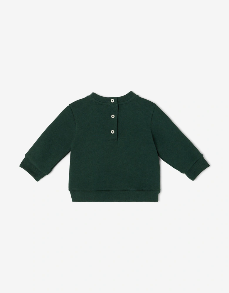 Baby Boys Squirrel Sweatshirt in Green