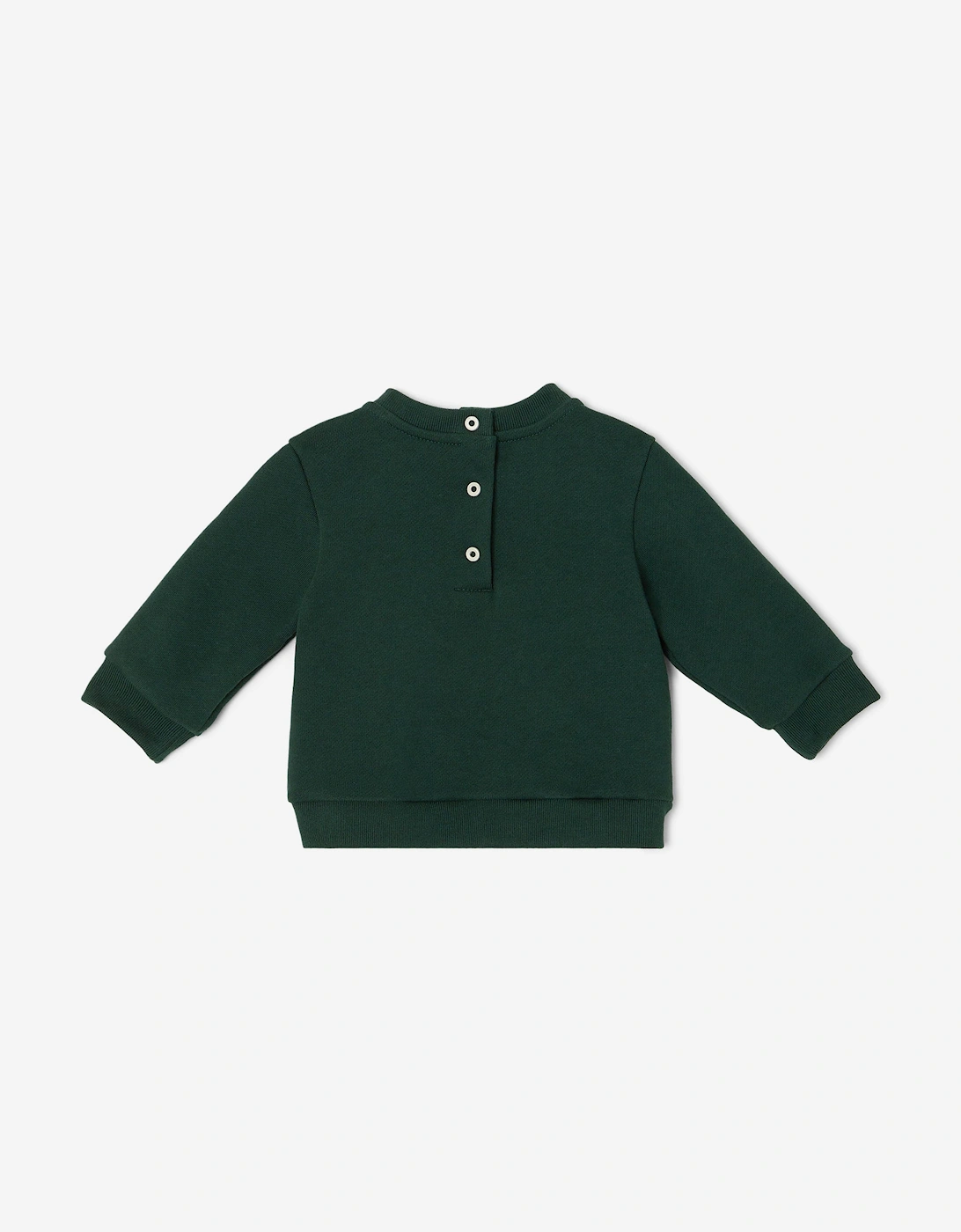 Baby Boys Squirrel Sweatshirt in Green