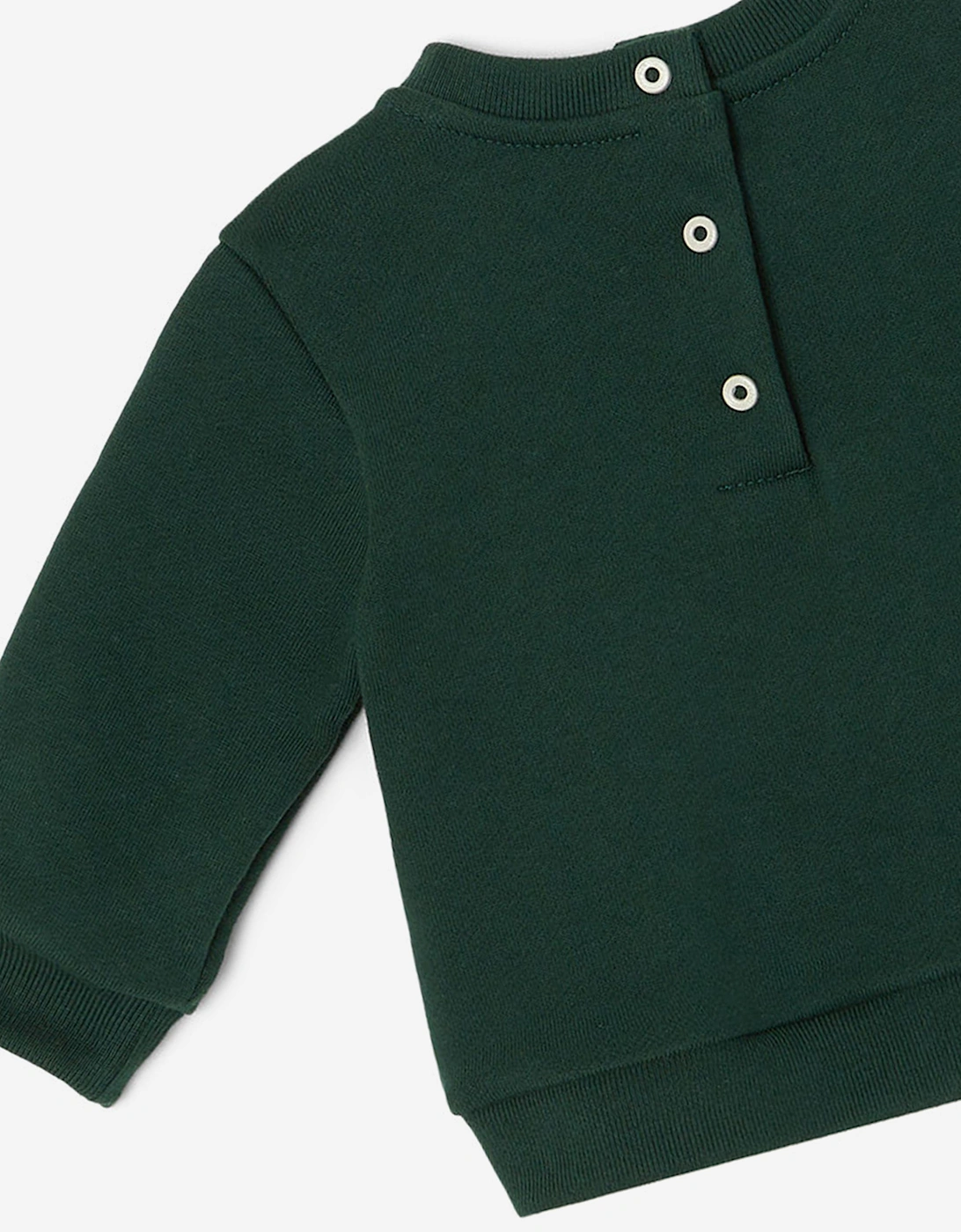 Baby Boys Squirrel Sweatshirt in Green